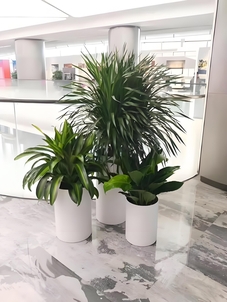 宁波海曙植物租赁设计